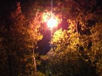 Ильдар Южный — Устало сердце